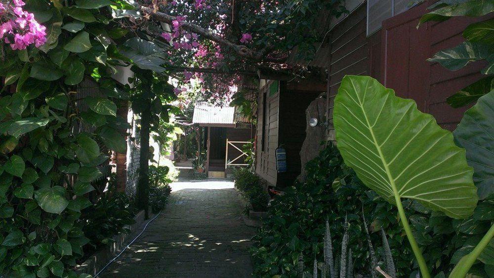 Ombak Inn Chalet Kampung Teluk Nipah Exteriér fotografie