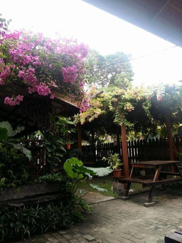 Ombak Inn Chalet Kampung Teluk Nipah Exteriér fotografie